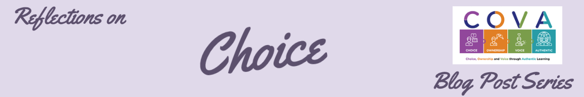 Reflections on Choice